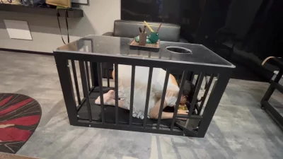 调教白丝反差女友